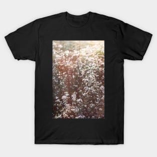 October Aster Botanical T-Shirt